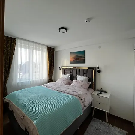 Myna In Kraljevi Cardaci